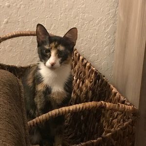 Meet your Posher, Barbara